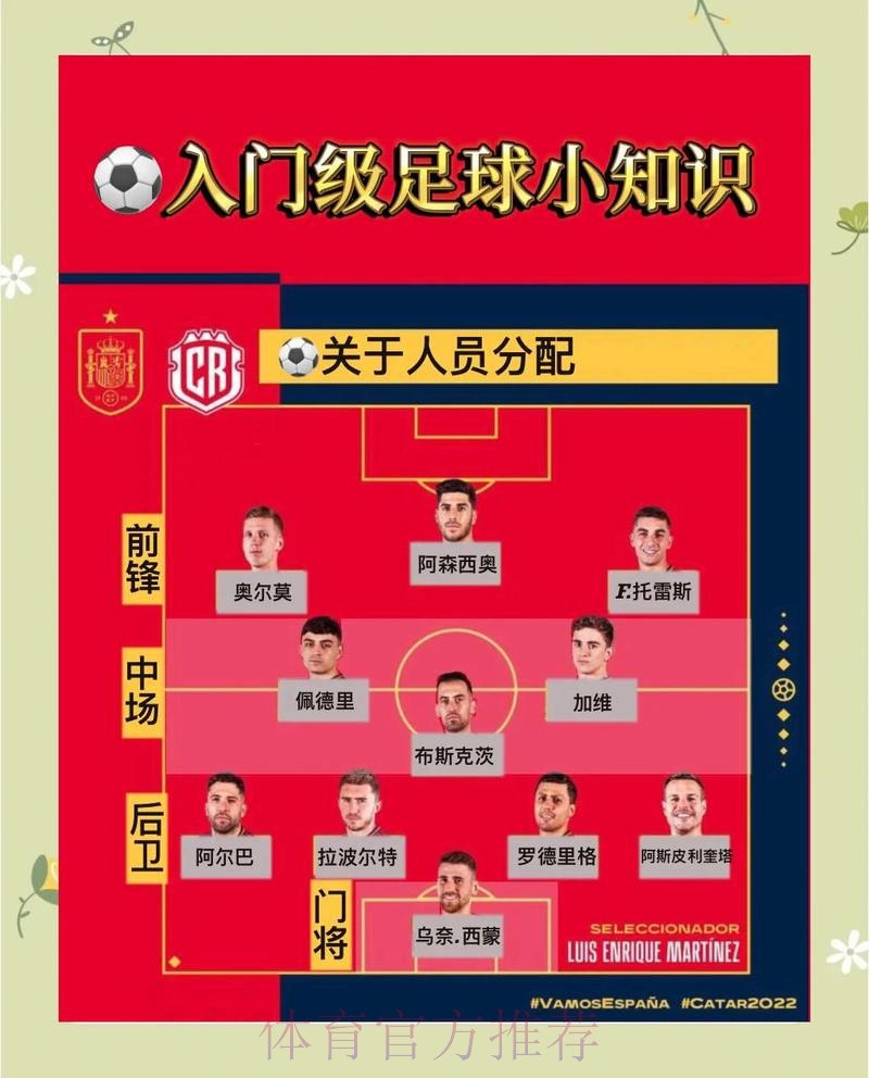 世界杯专业投注教程与技巧解析